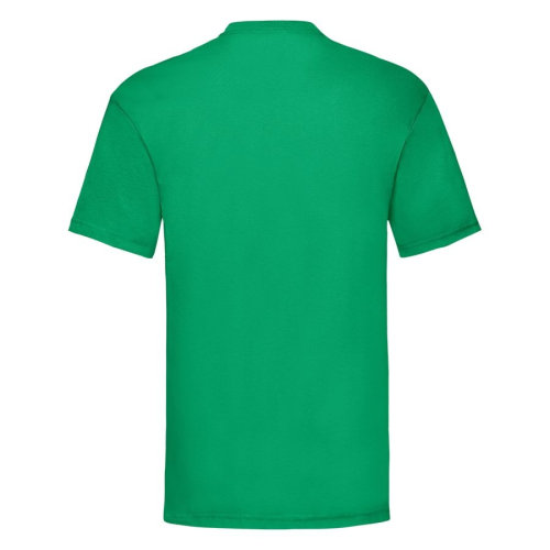 Футболка мужская VALUEWEIGHT T 165 (зеленый)